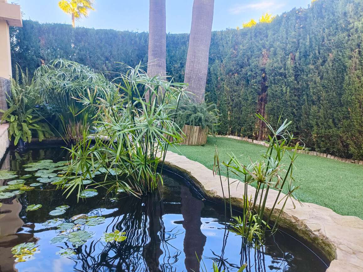 [object Object] - image