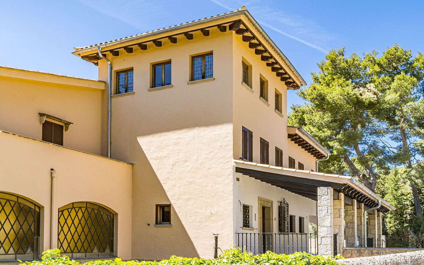 [object Object] - image