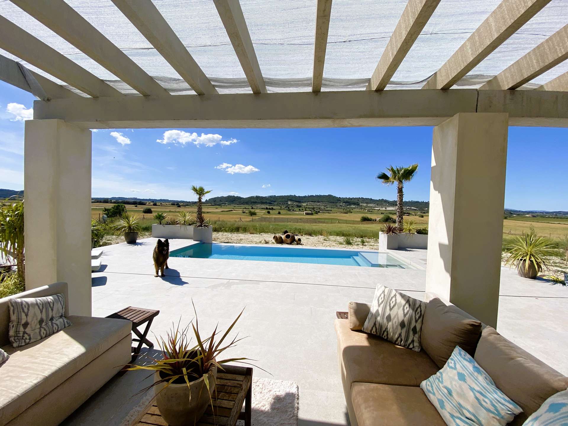 [object Object] - image