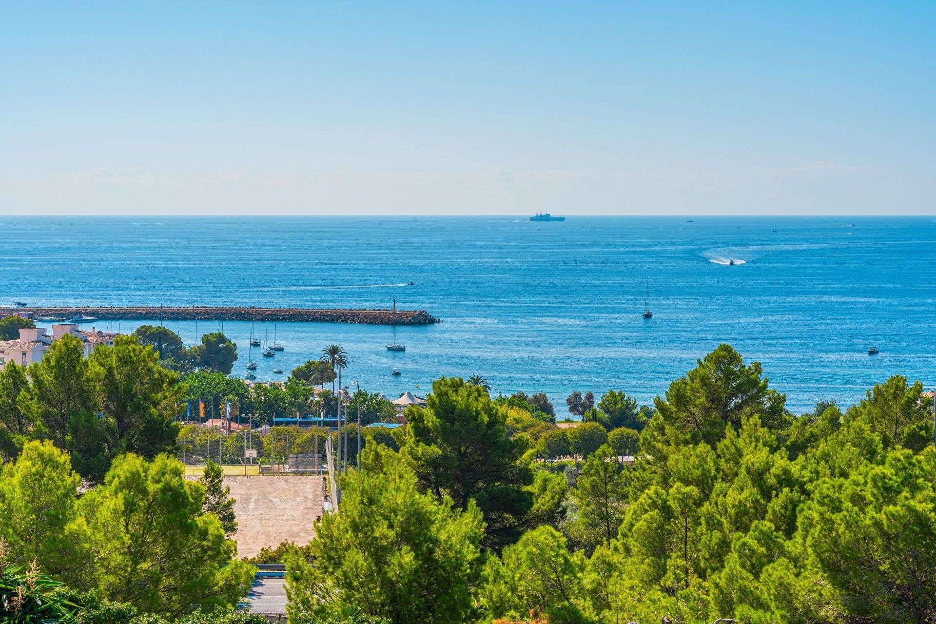 [object Object] - image