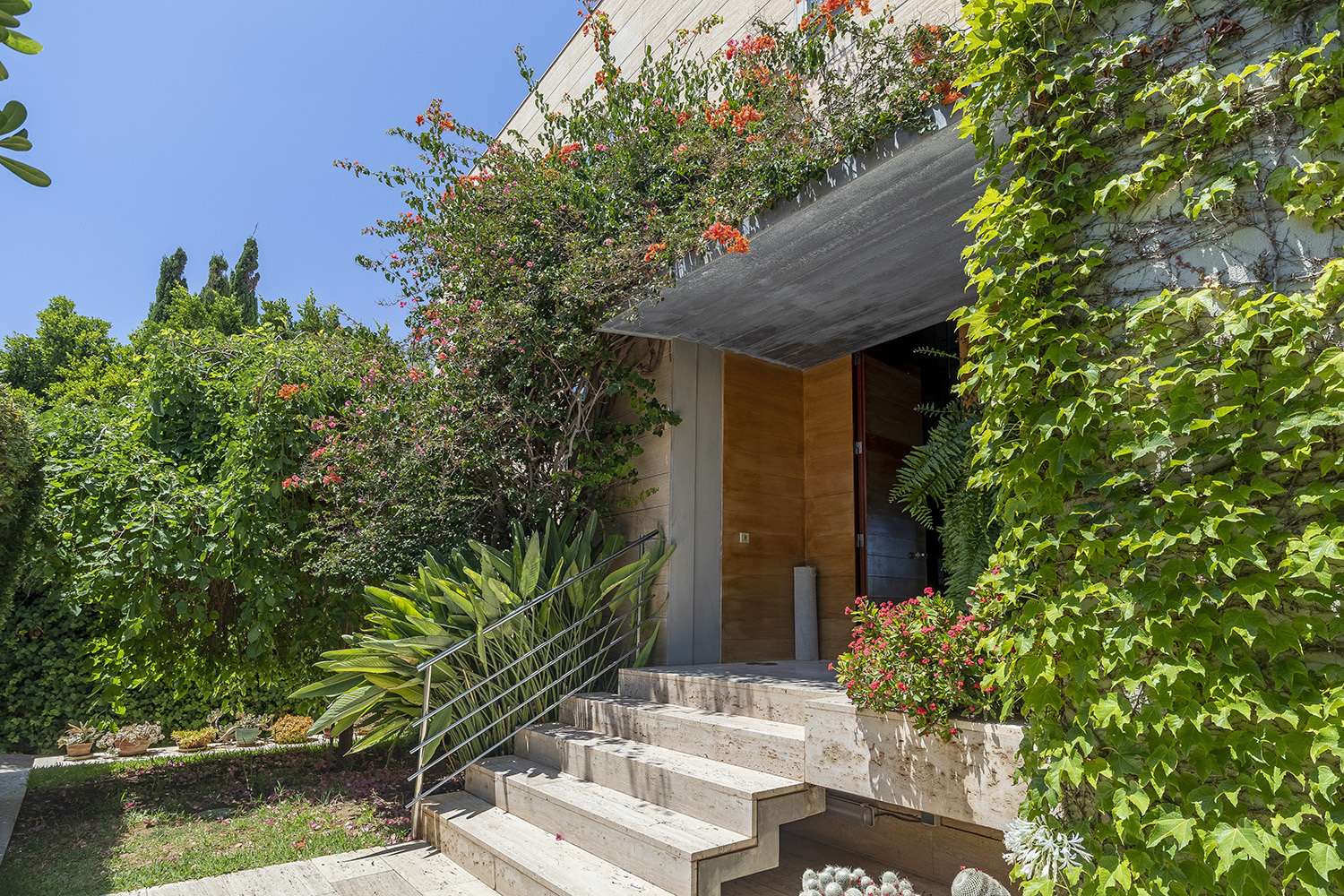 [object Object] - image