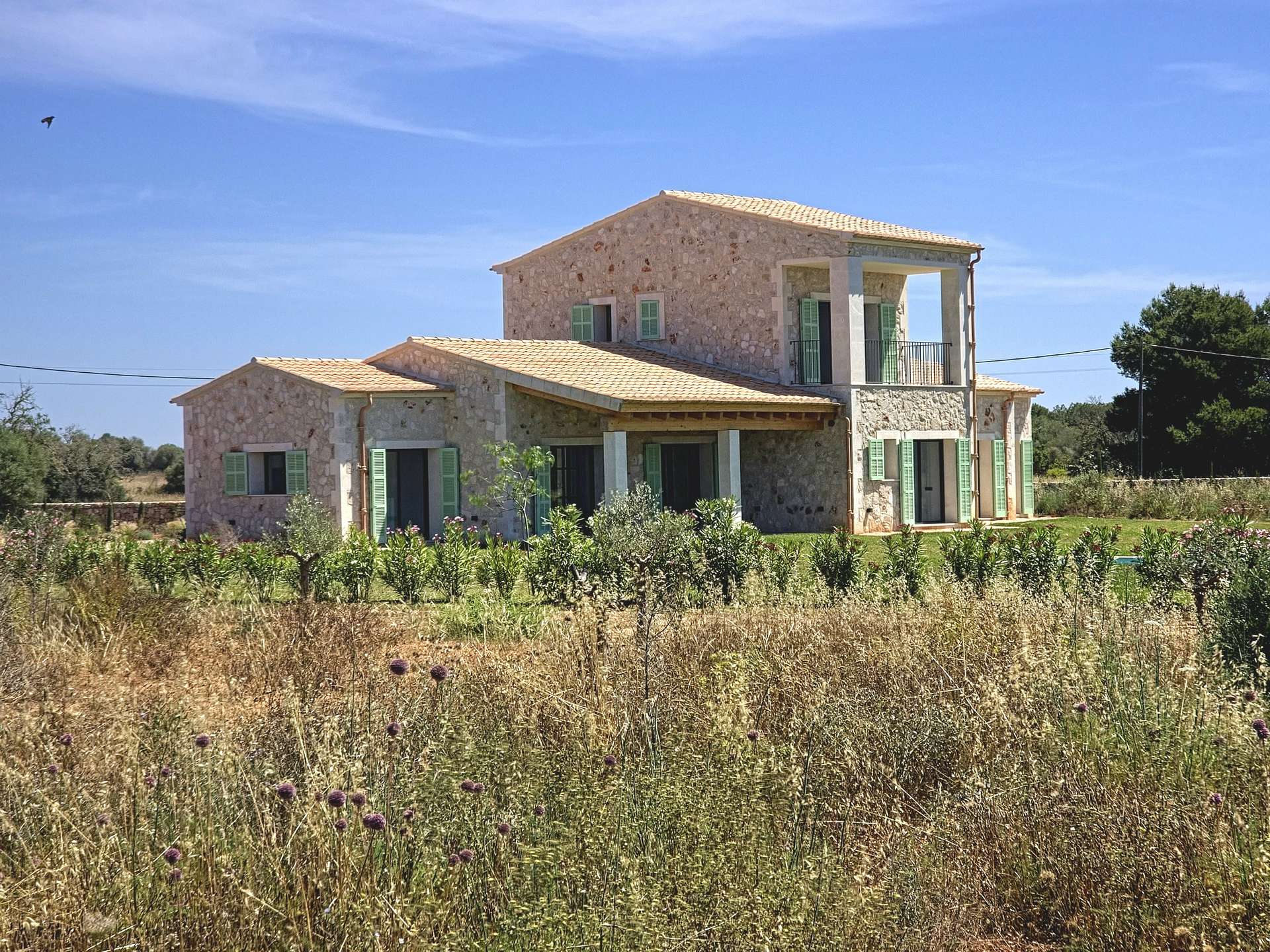 [object Object] - image