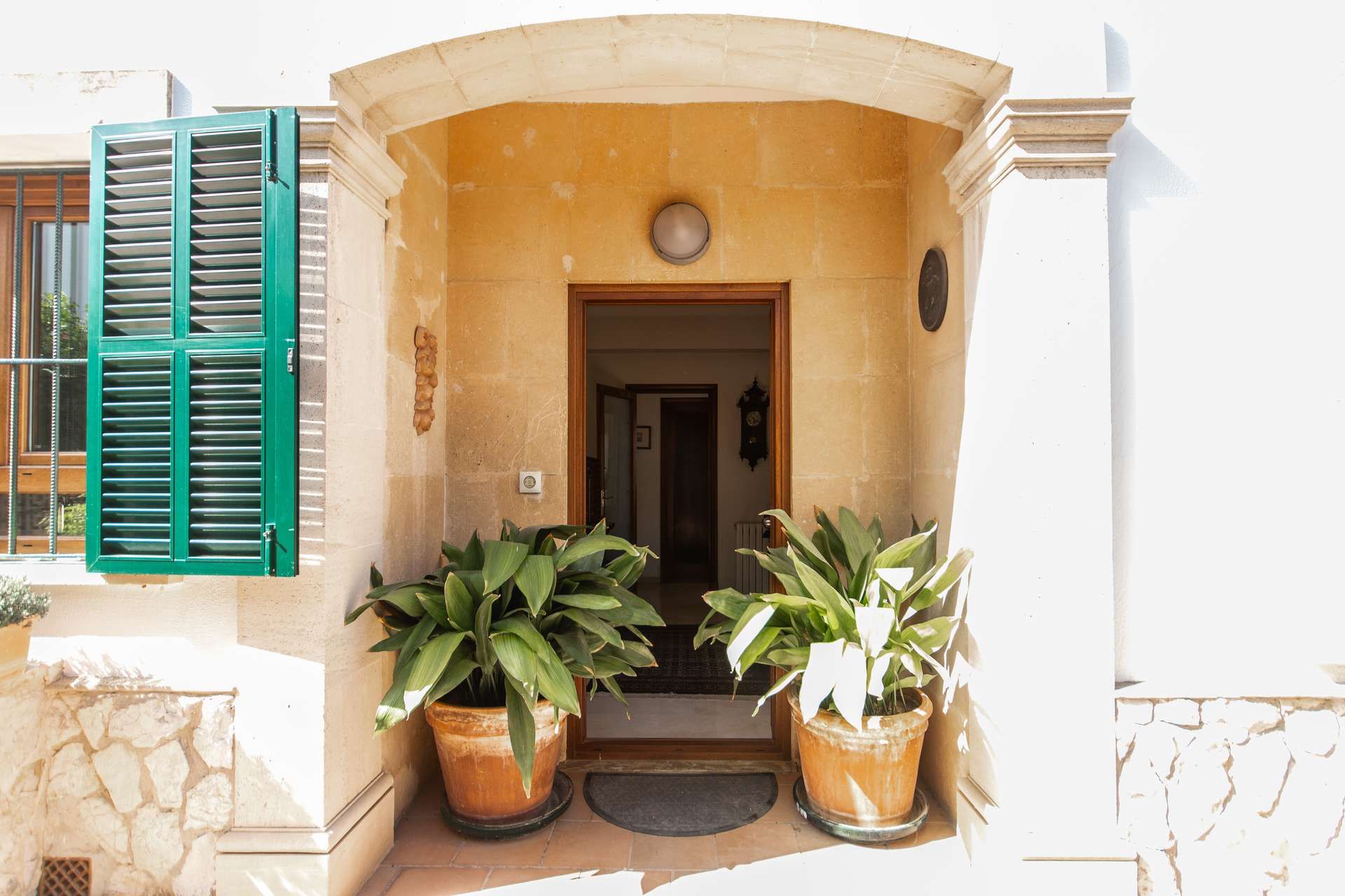 [object Object] - image