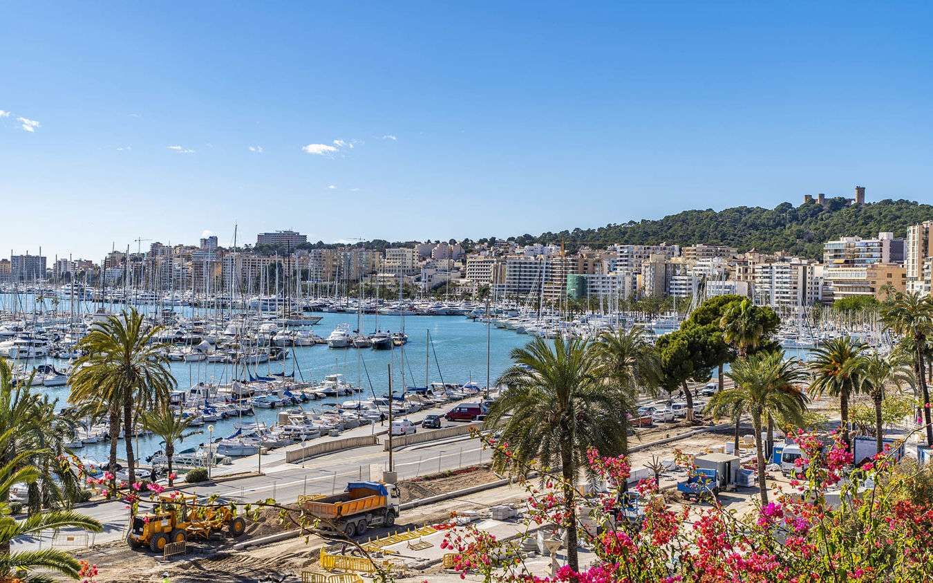 [object Object] - image