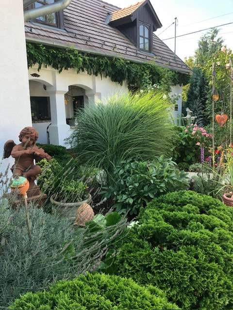 [object Object] - image