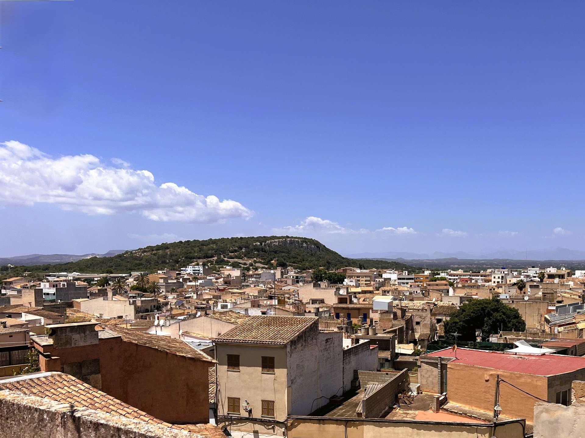 [object Object] - image