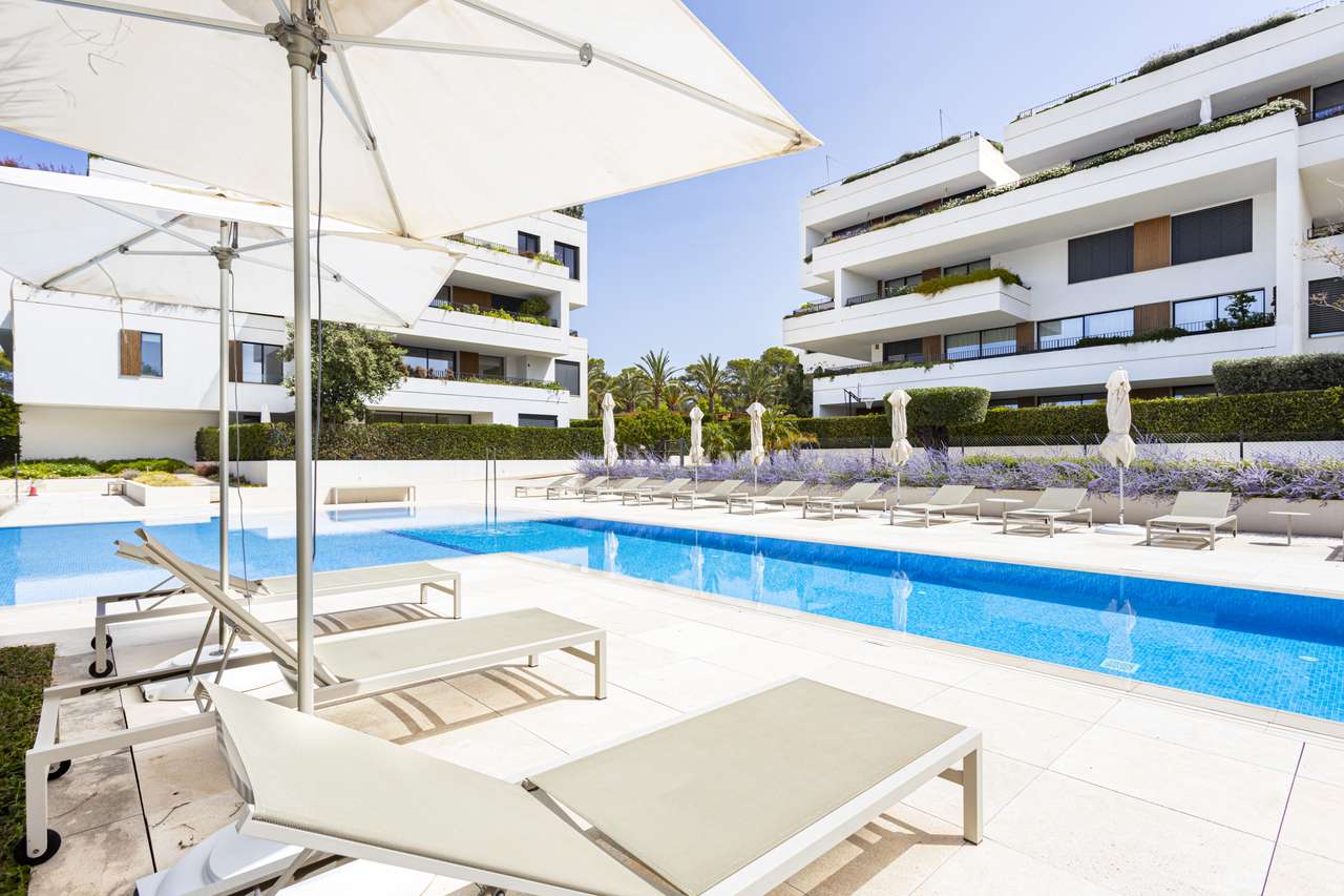 [object Object] - image