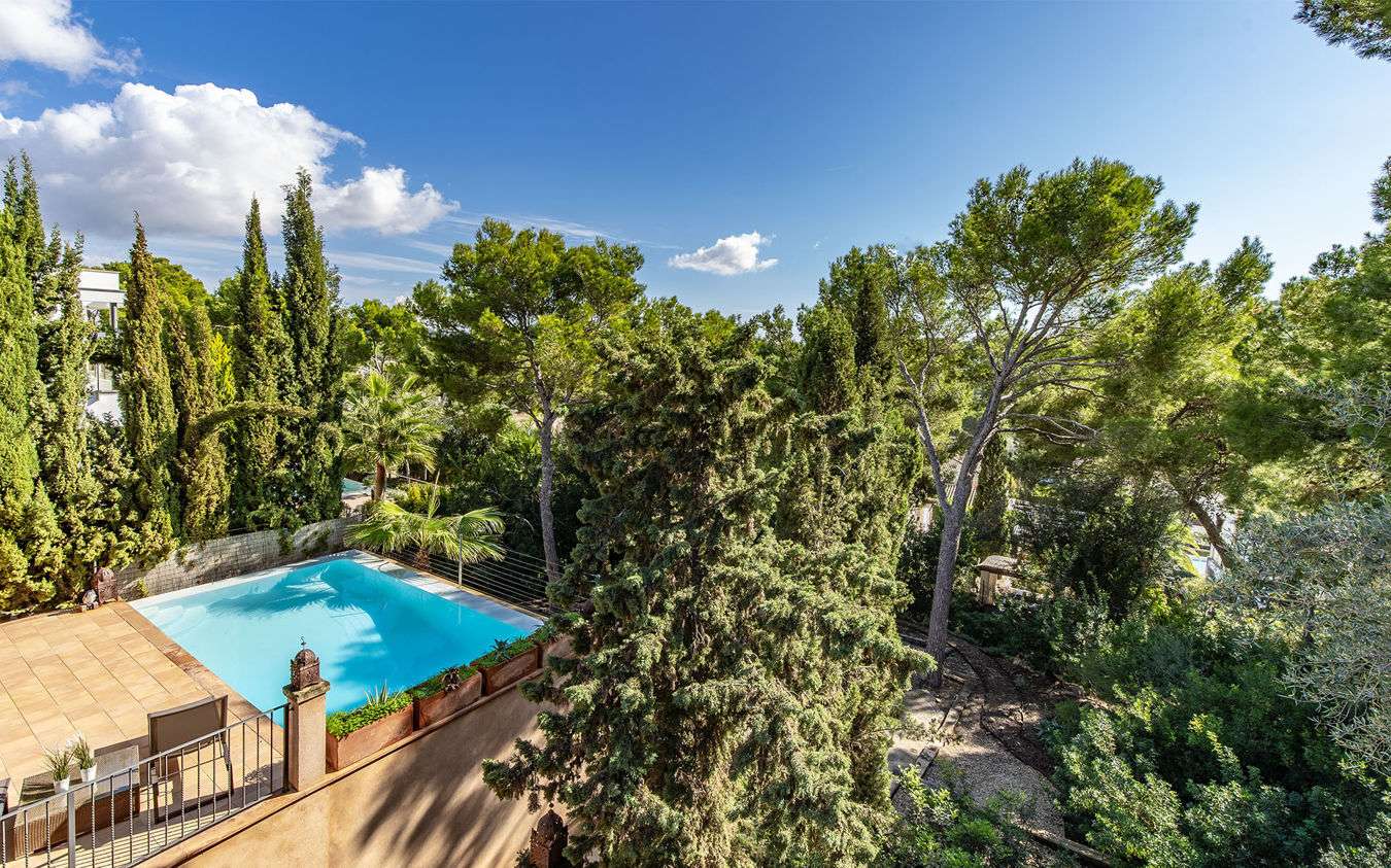 [object Object] - image