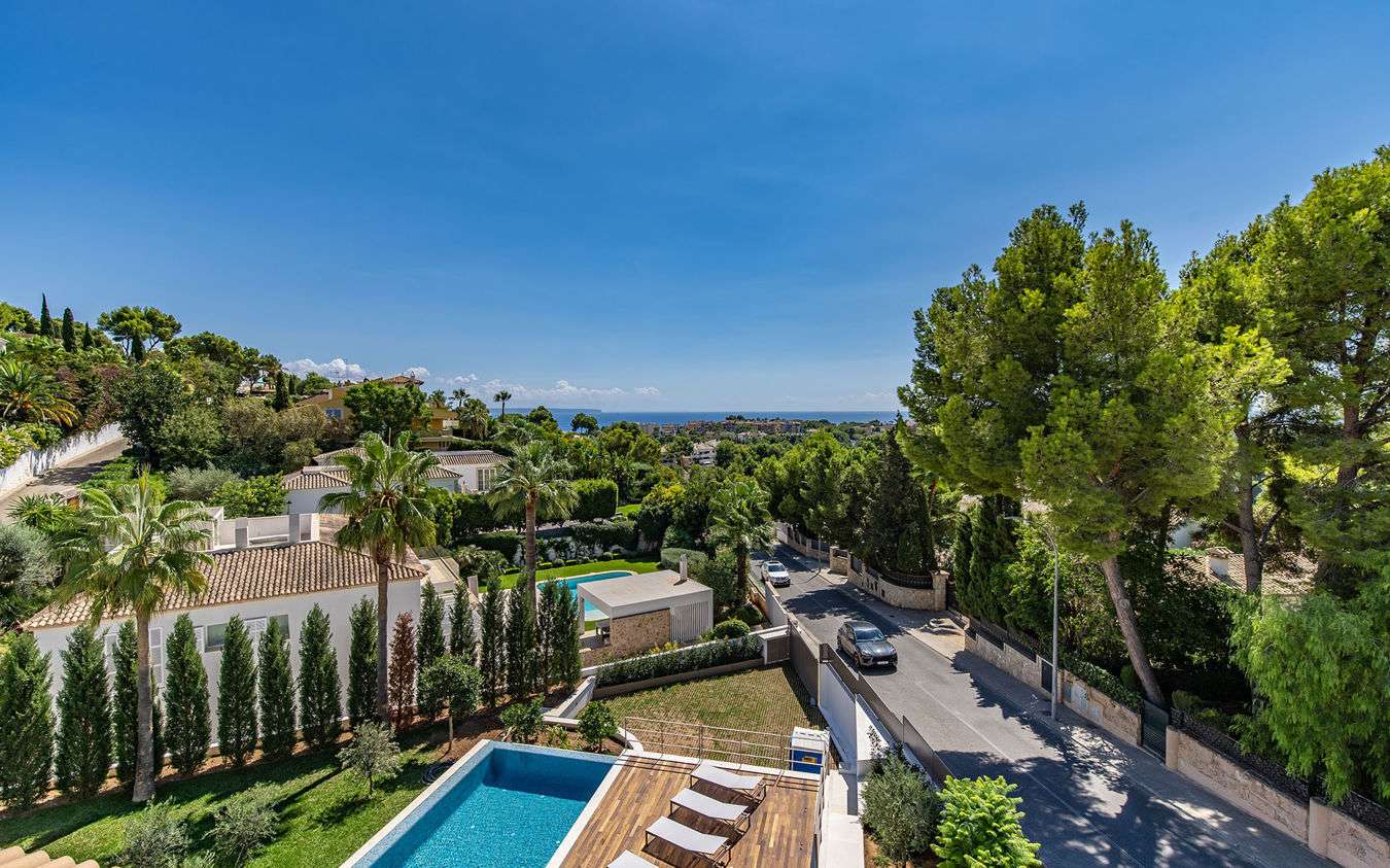 [object Object] - image