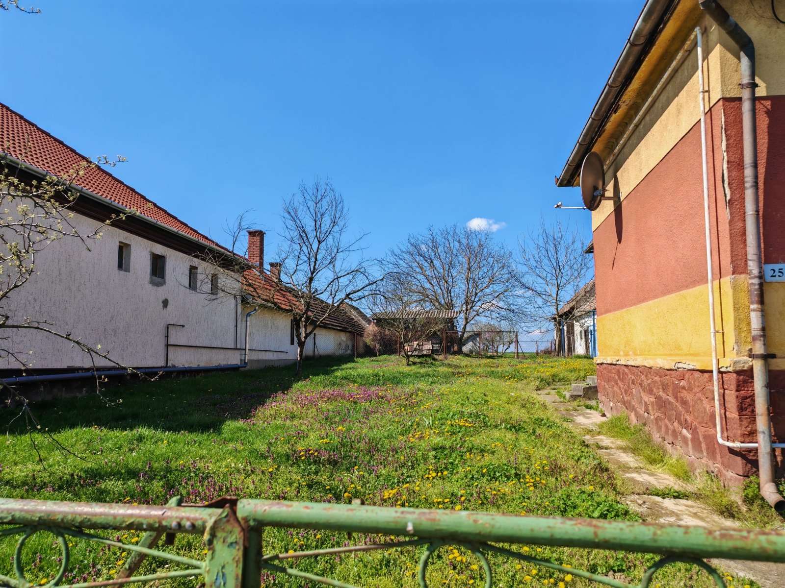 [object Object] - image