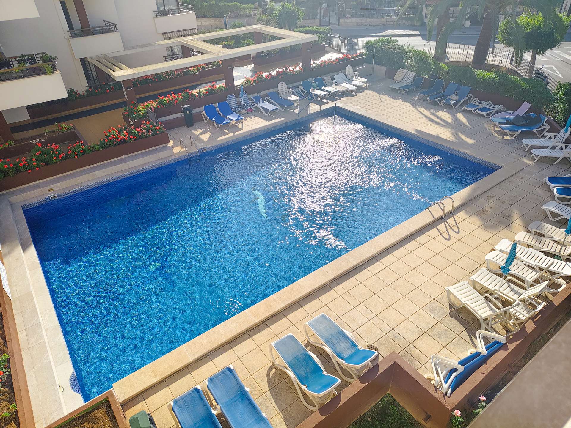 [object Object] - image