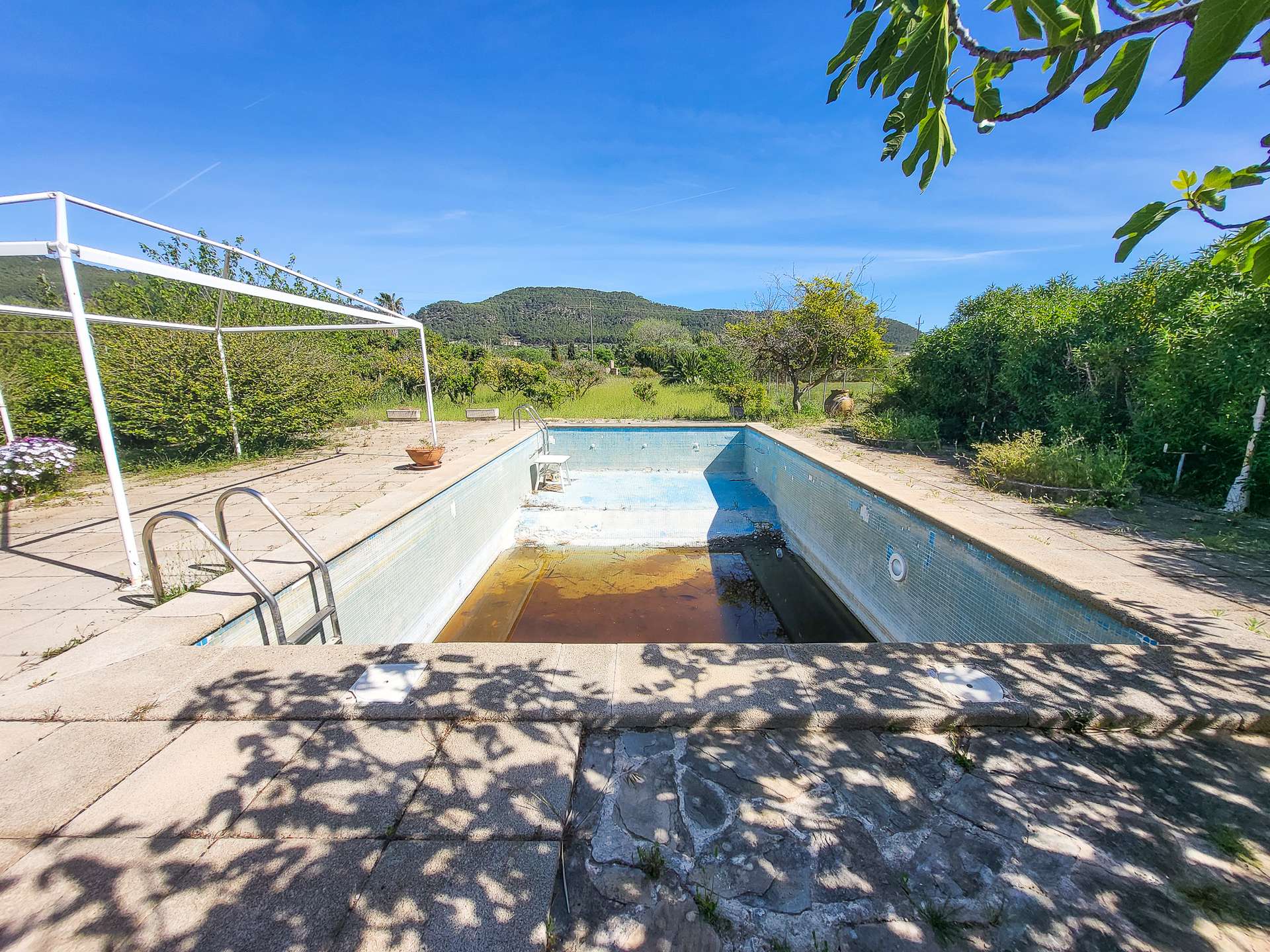 [object Object] - image