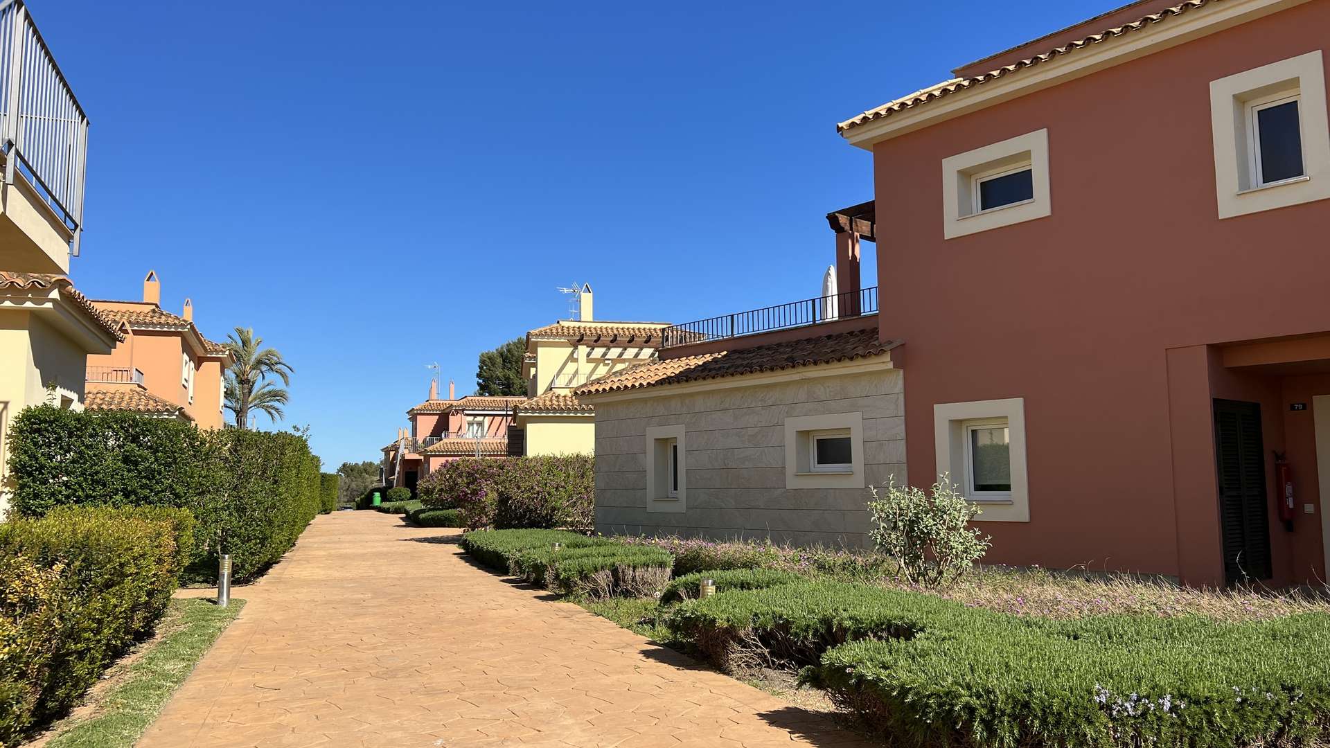 [object Object] - image