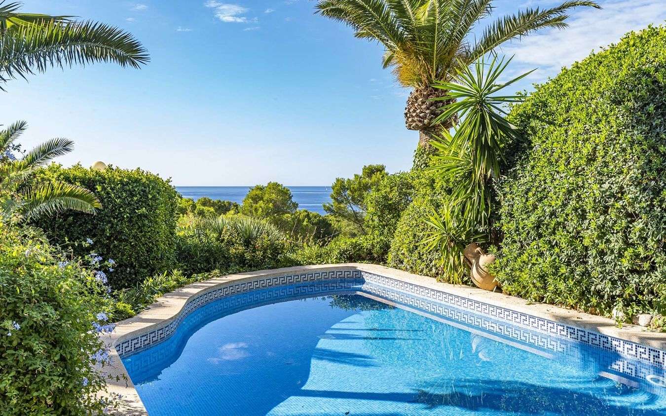 [object Object] - image