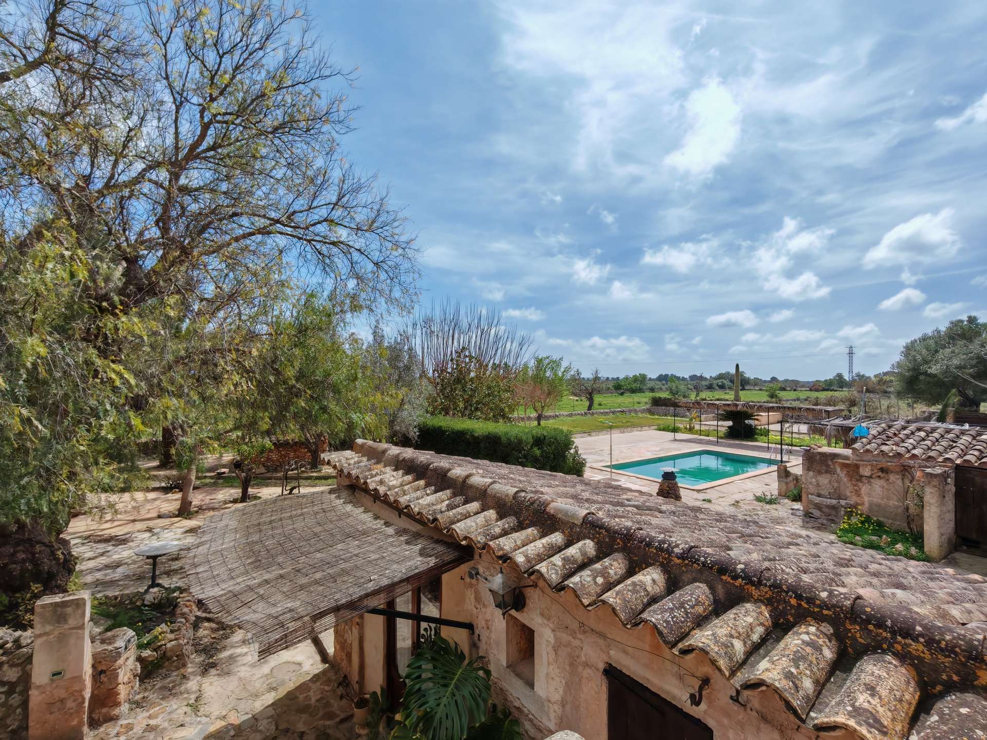 [object Object] - image