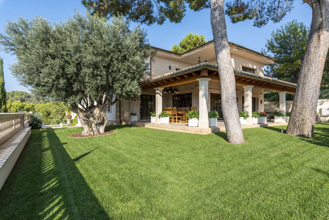 [object Object] - image