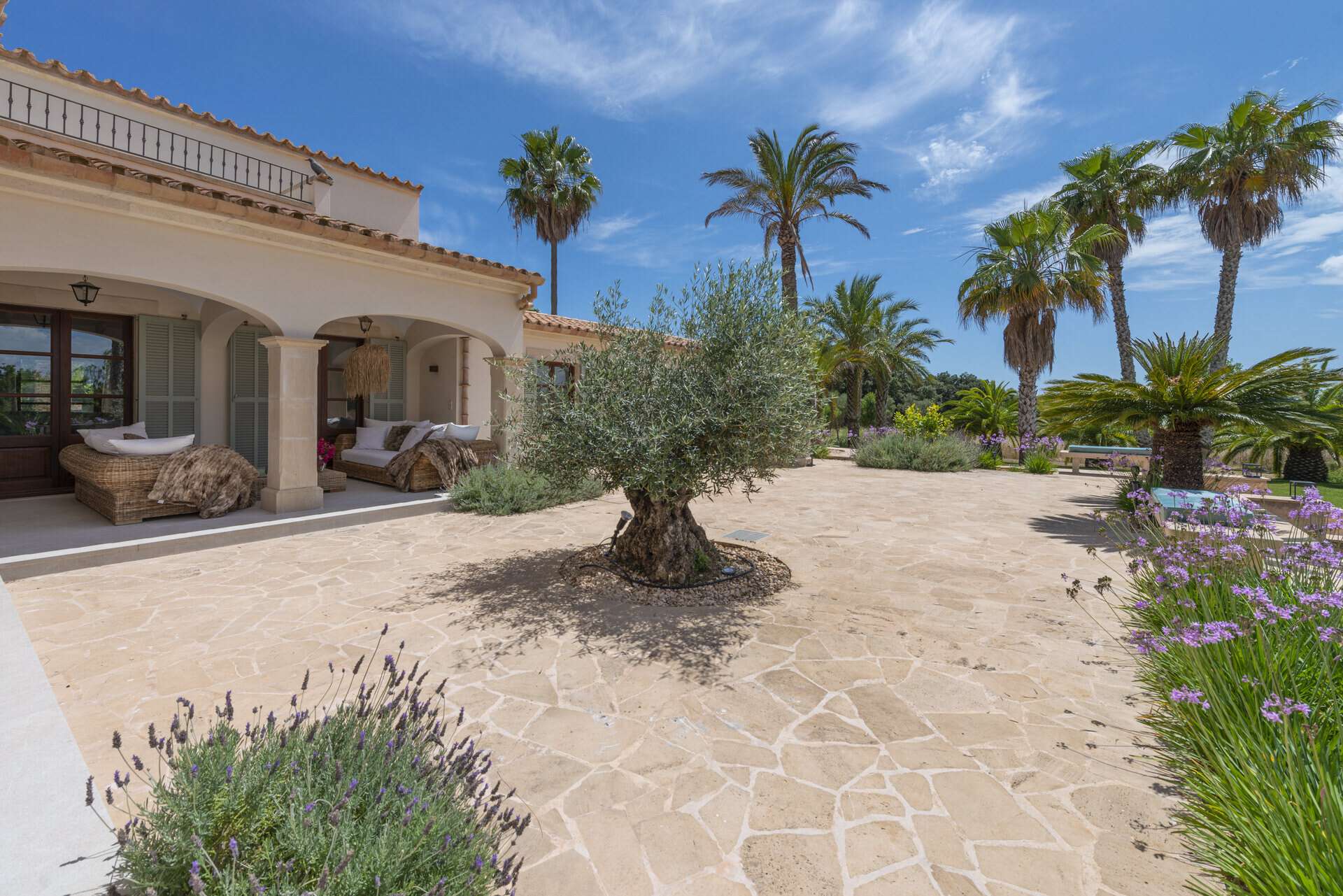 [object Object] - image