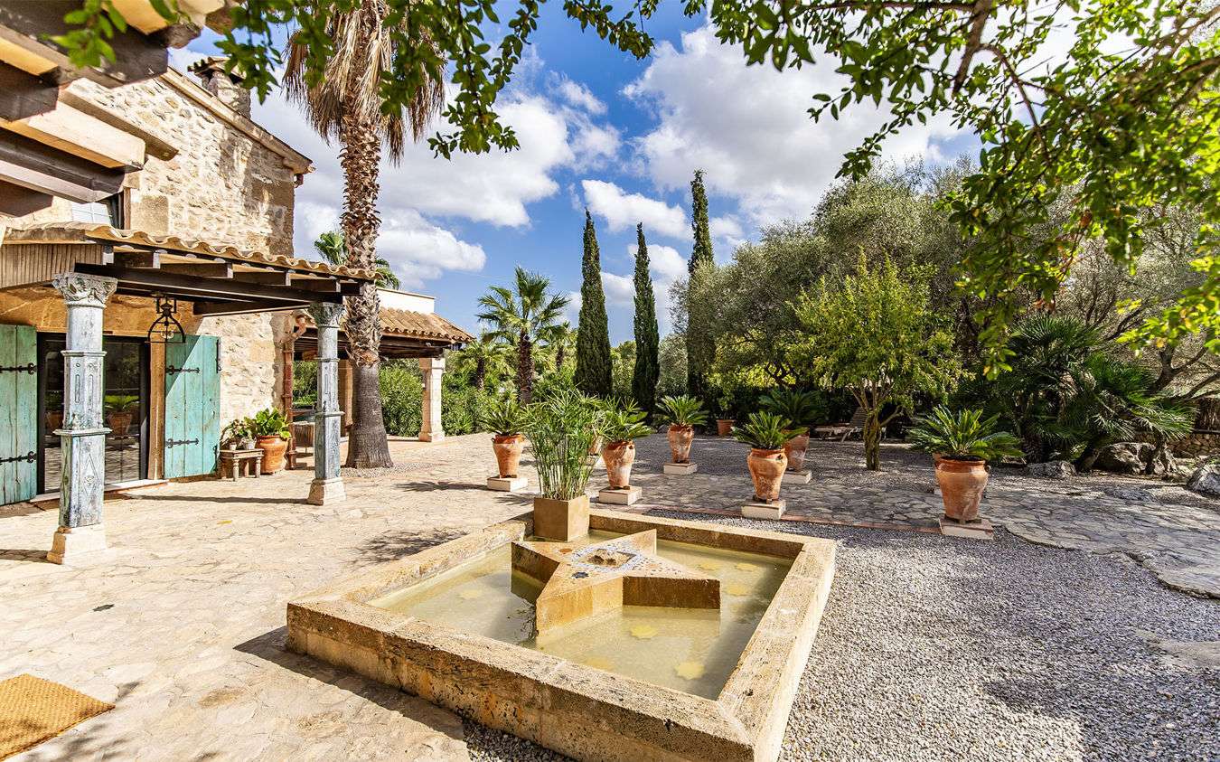 [object Object] - image