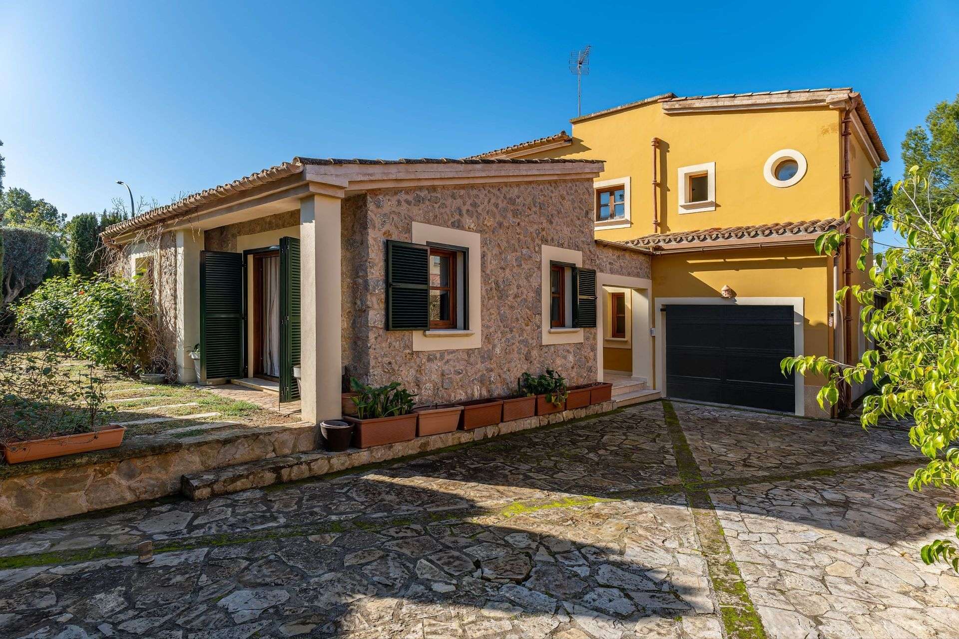 [object Object] - image