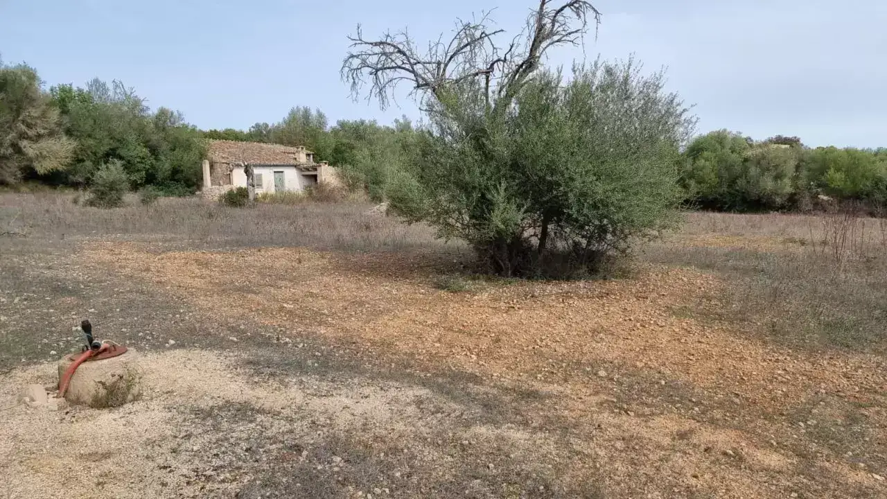 [object Object] - image