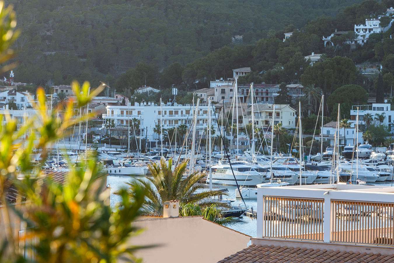 [object Object] - image