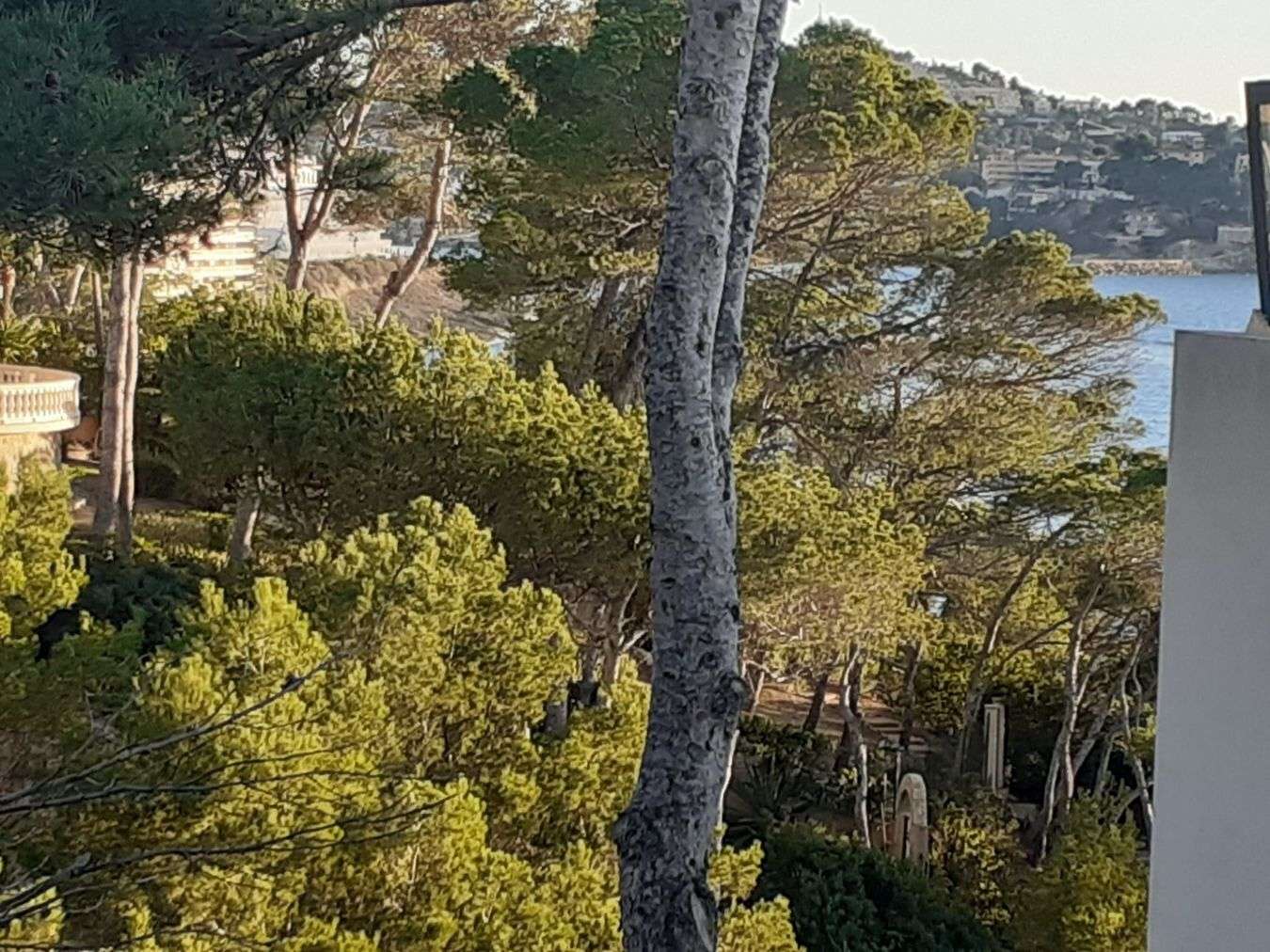 [object Object] - image