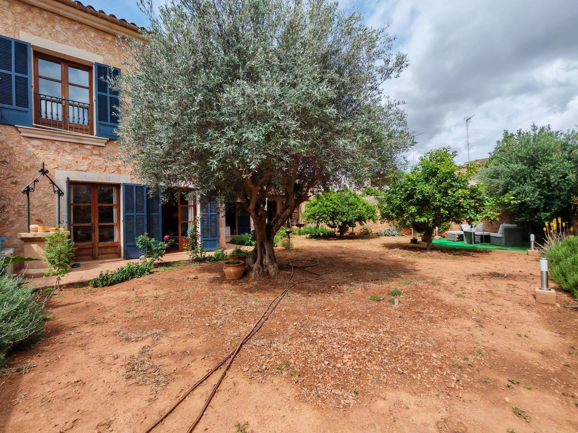 [object Object] - image