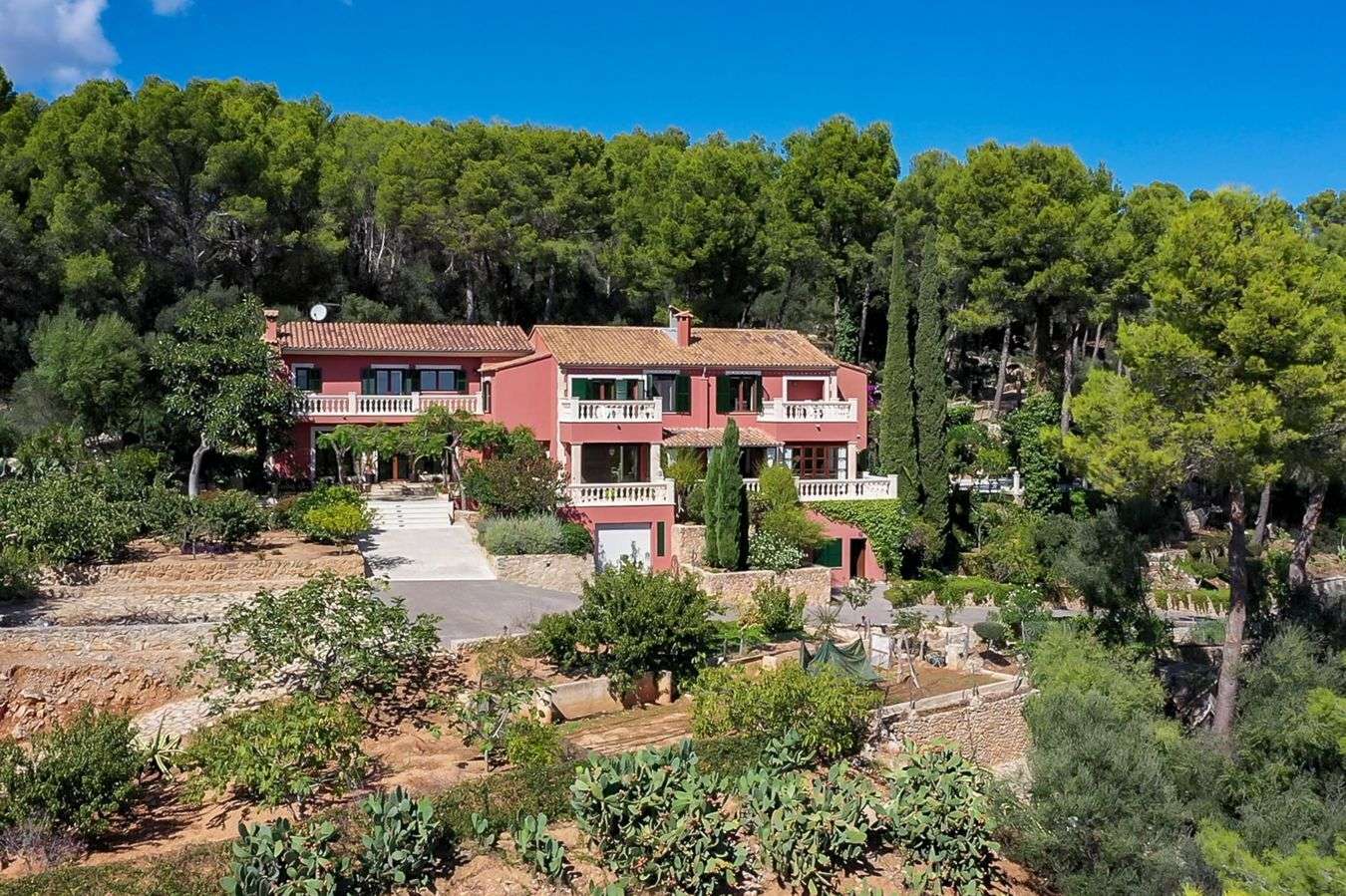 [object Object] - image