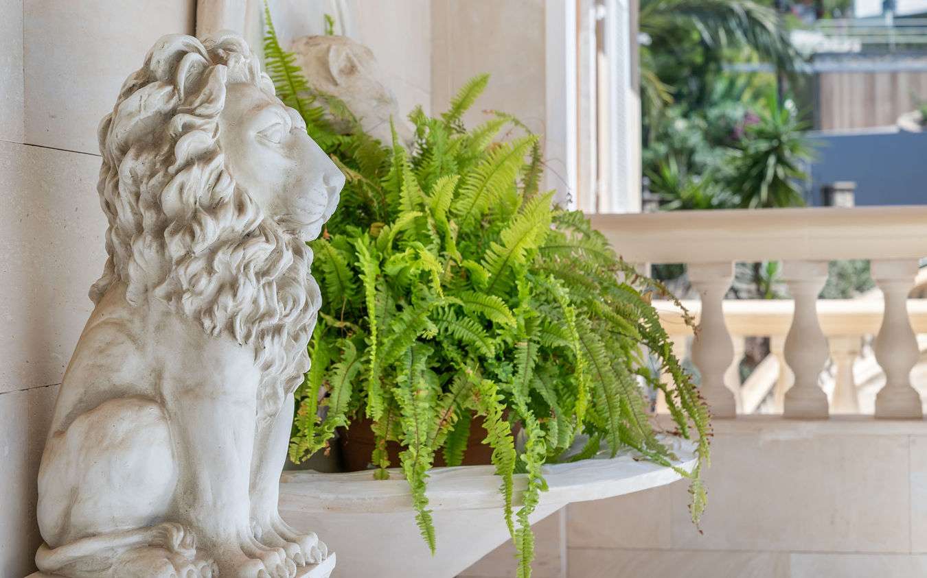 [object Object] - image