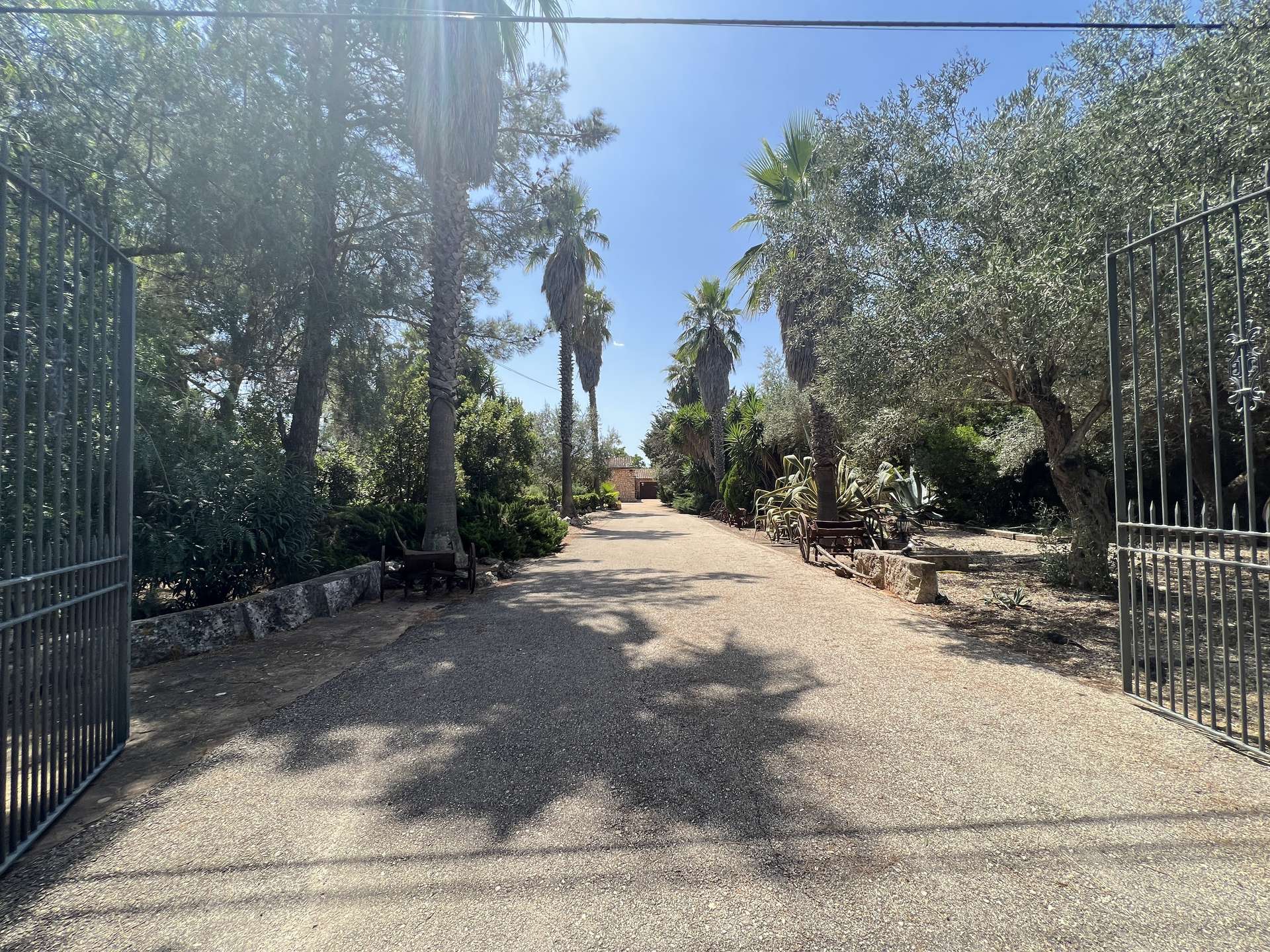 [object Object] - image