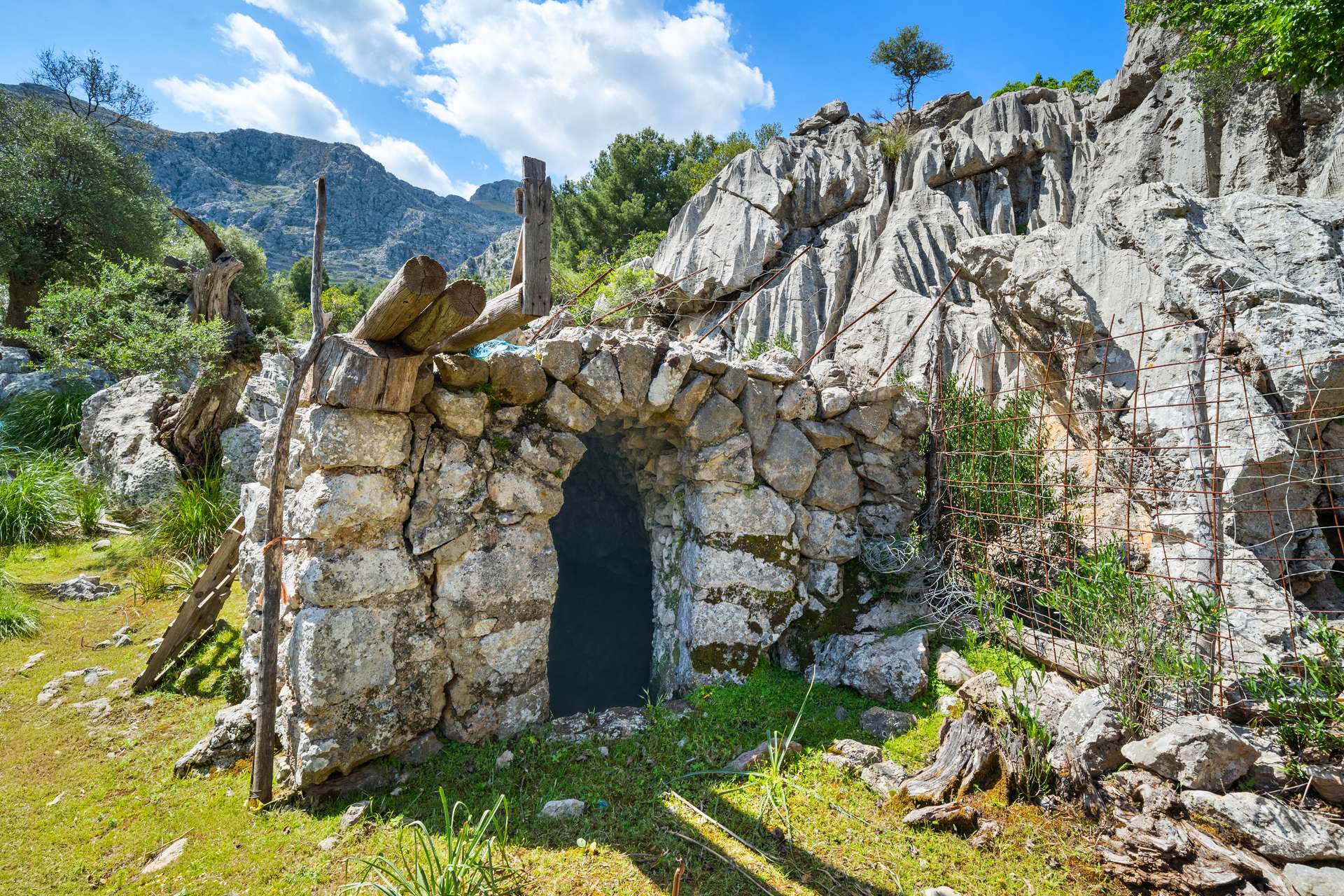 [object Object] - image