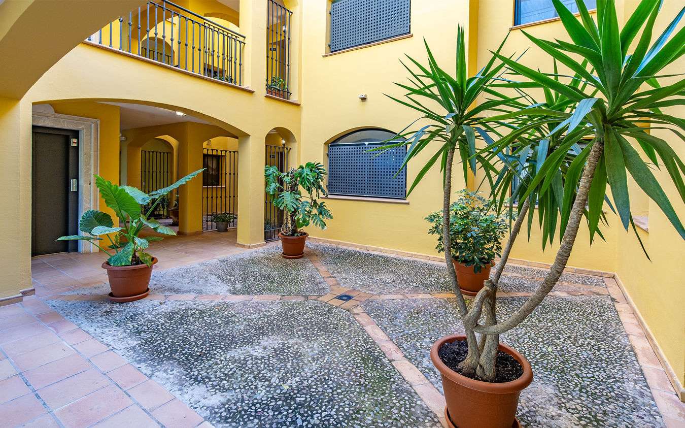 [object Object] - image