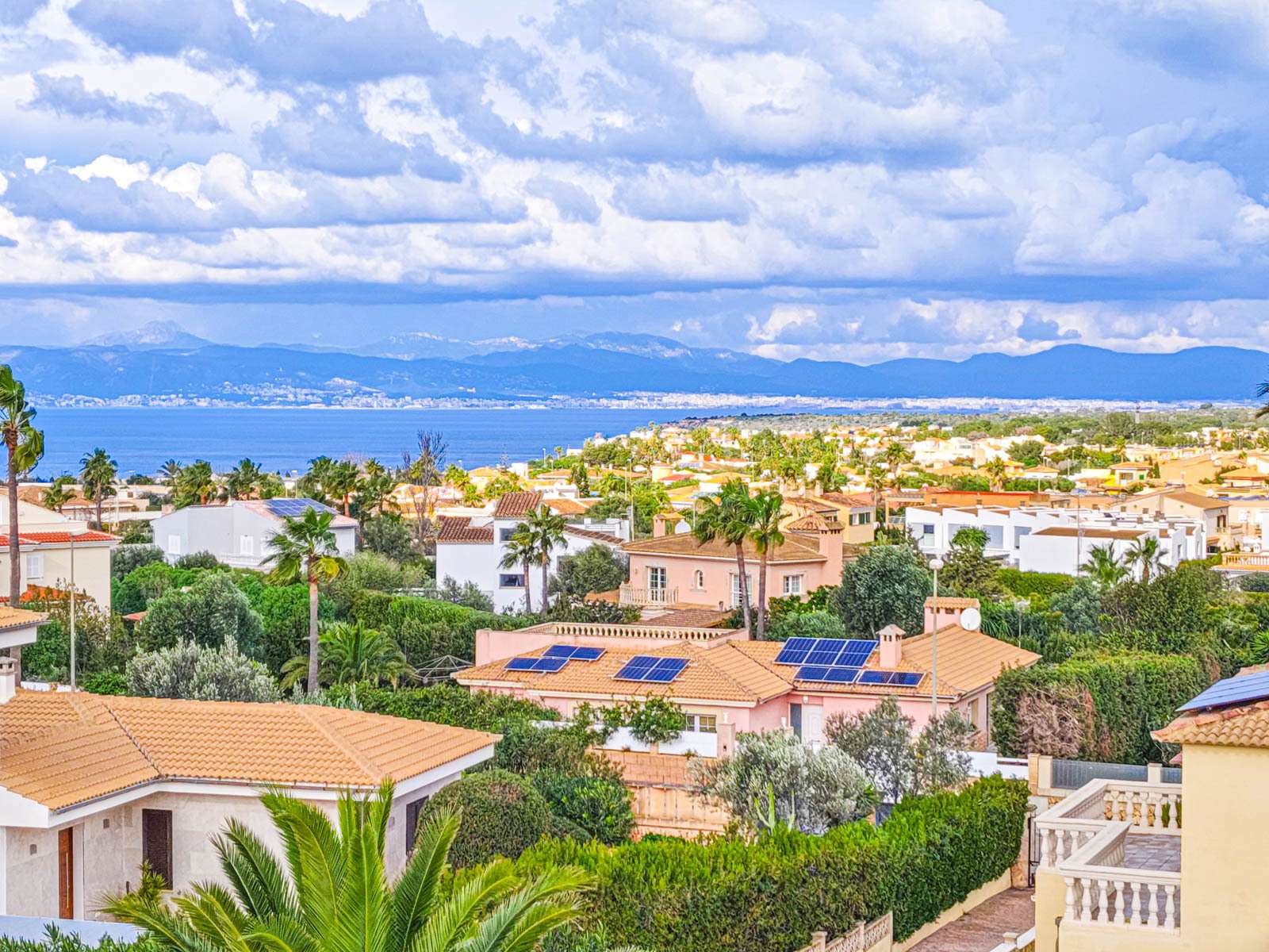 [object Object] - image