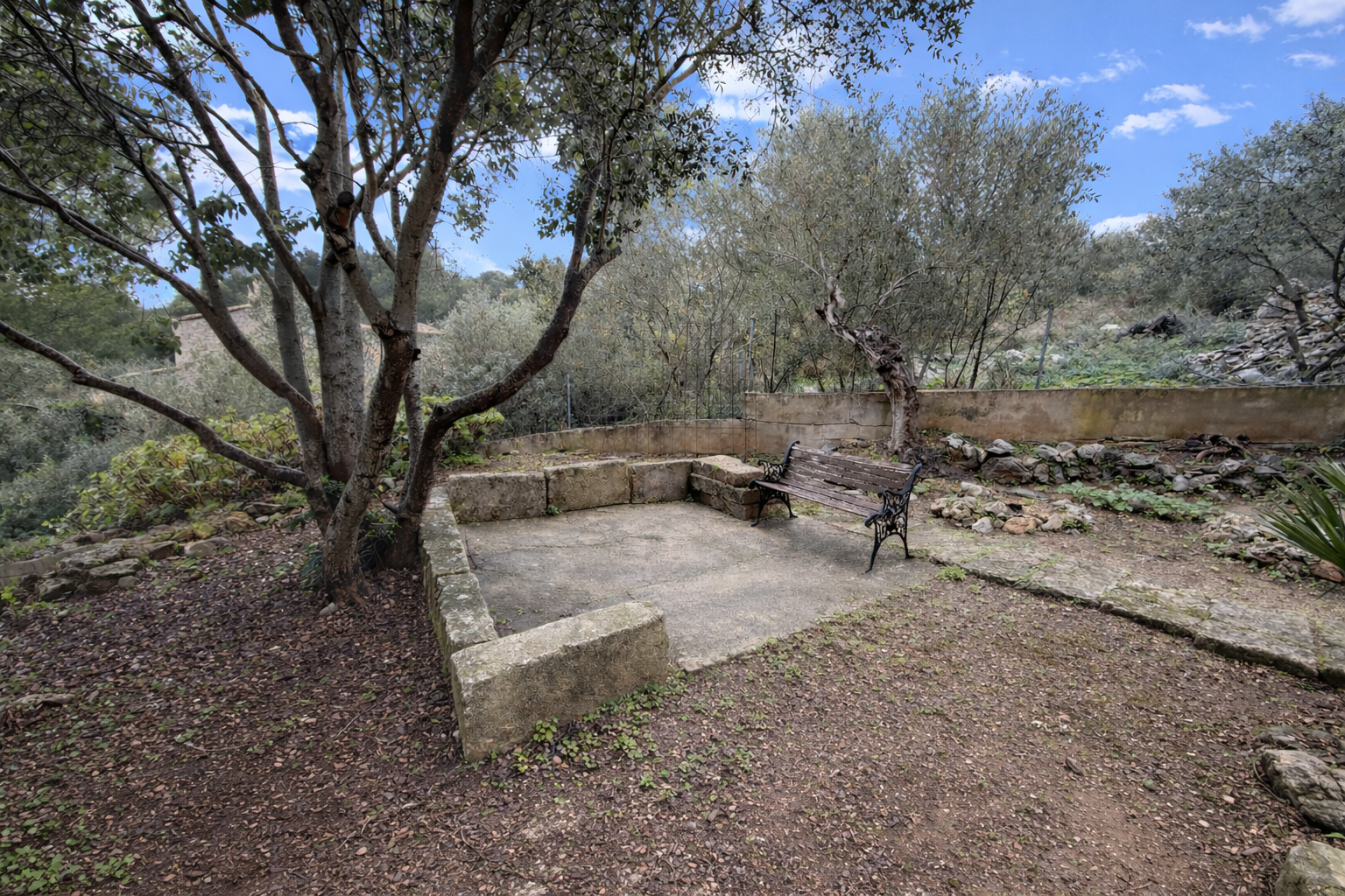 [object Object] - image