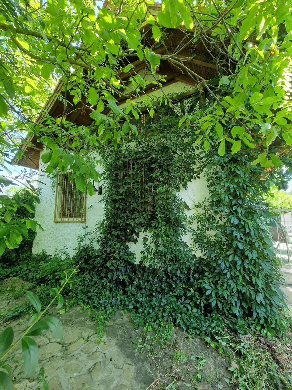 [object Object] - image