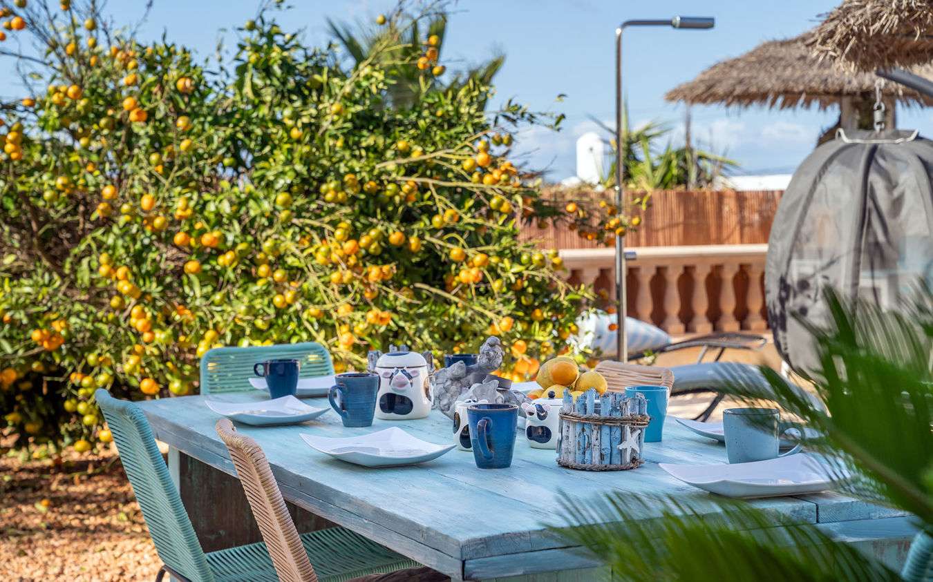 [object Object] - image