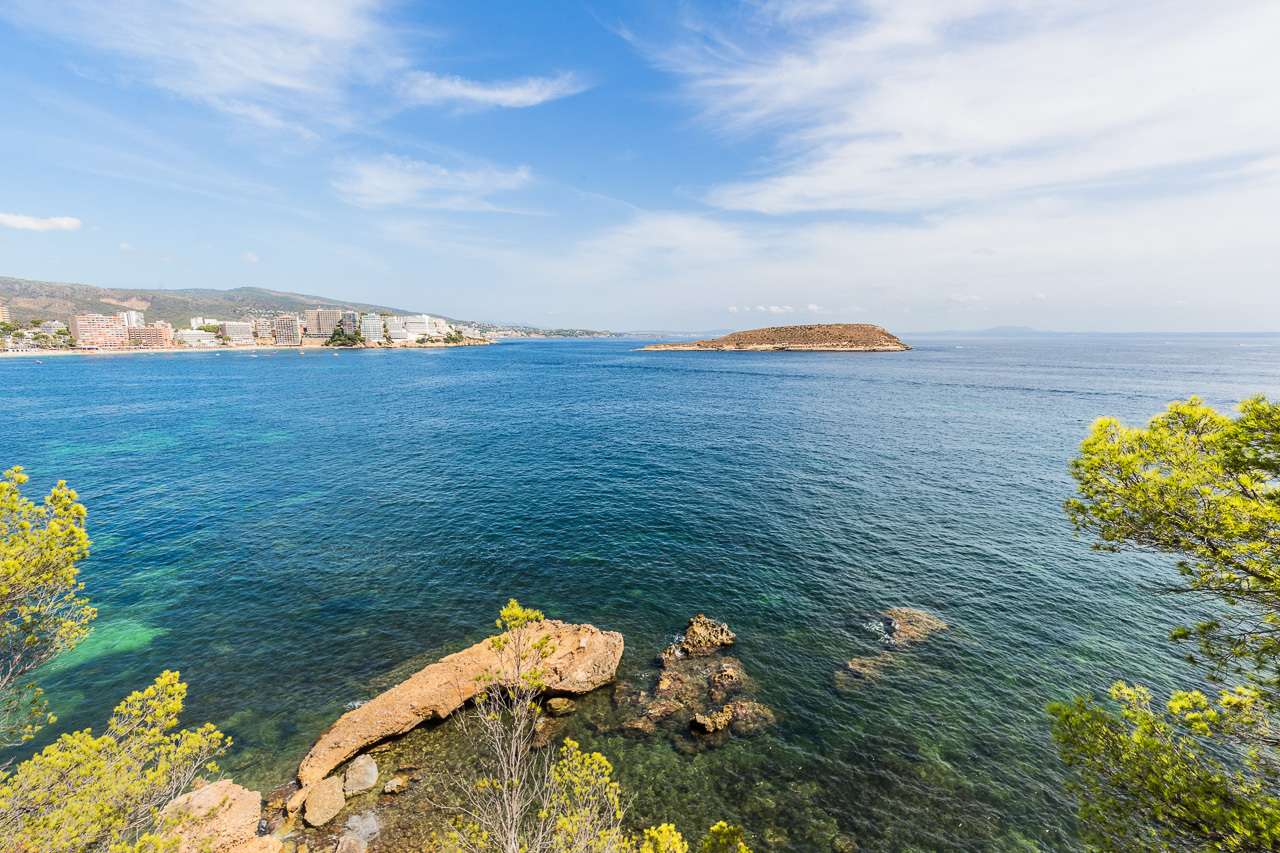 [object Object] - image