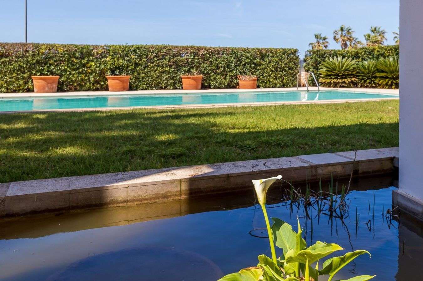 [object Object] - image