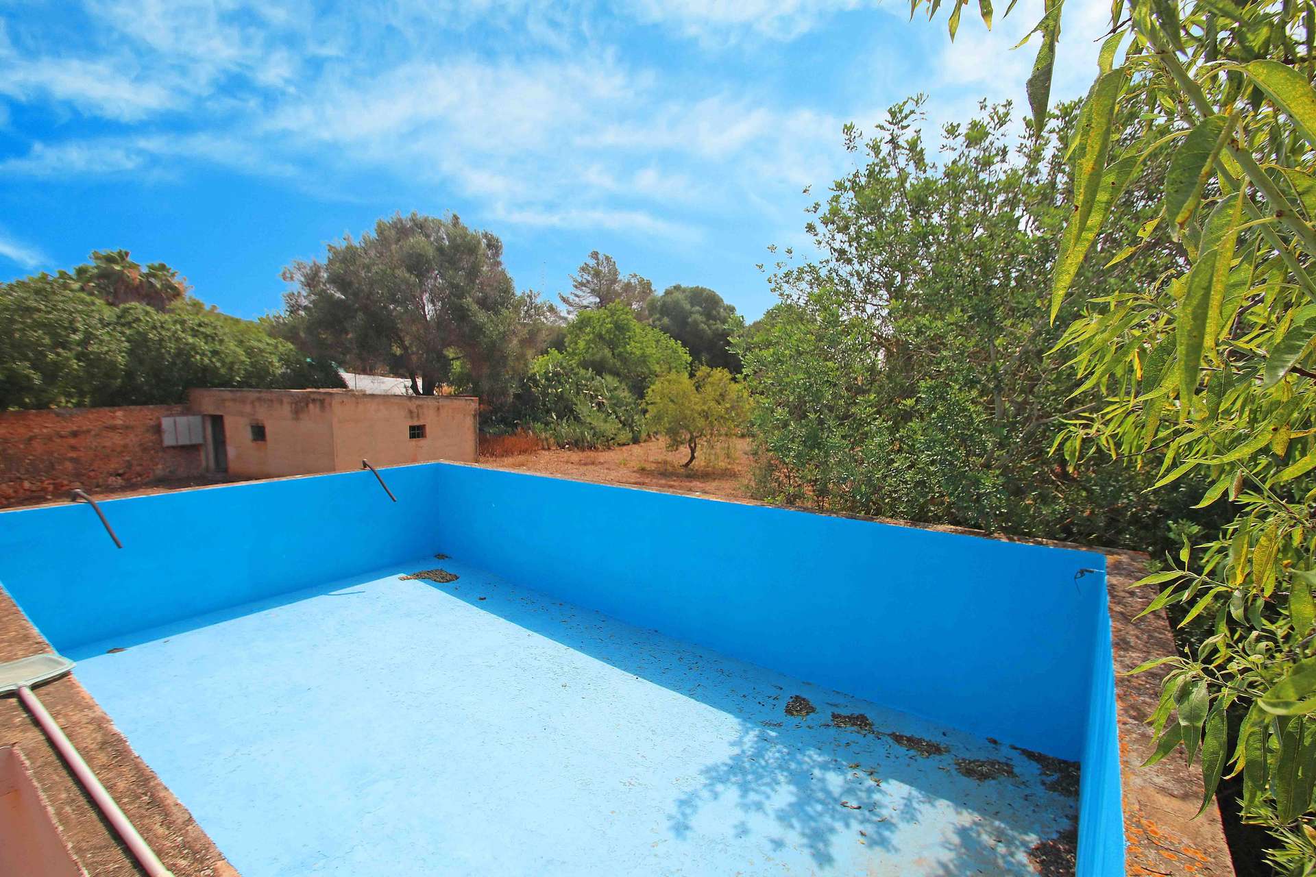 [object Object] - image