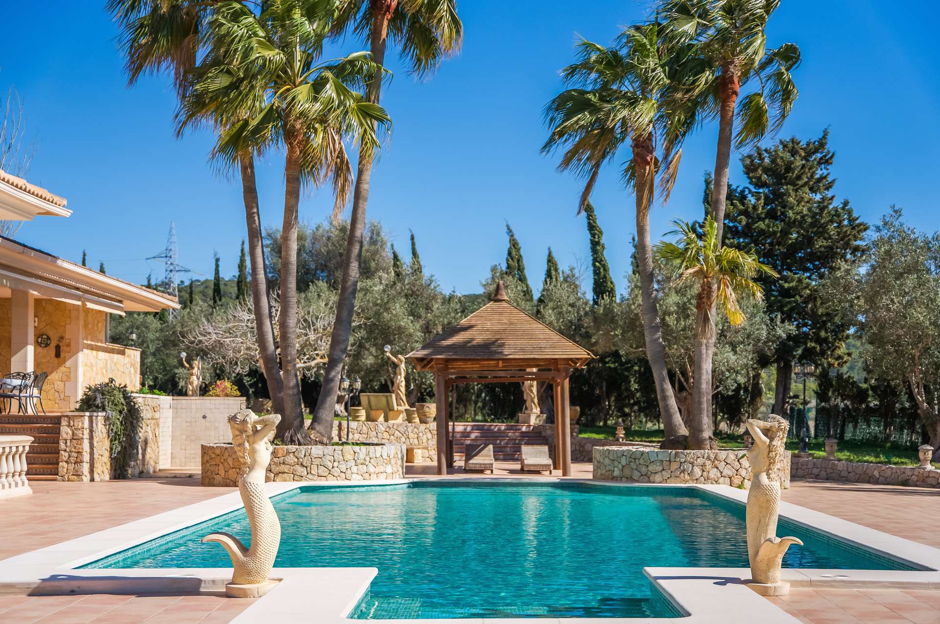 [object Object] - image