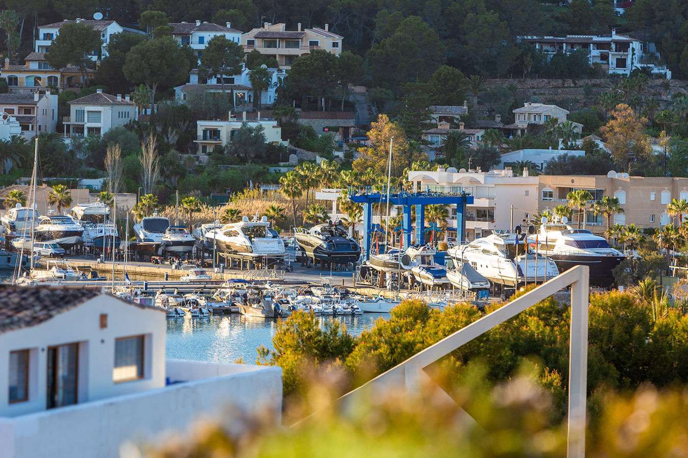 [object Object] - image