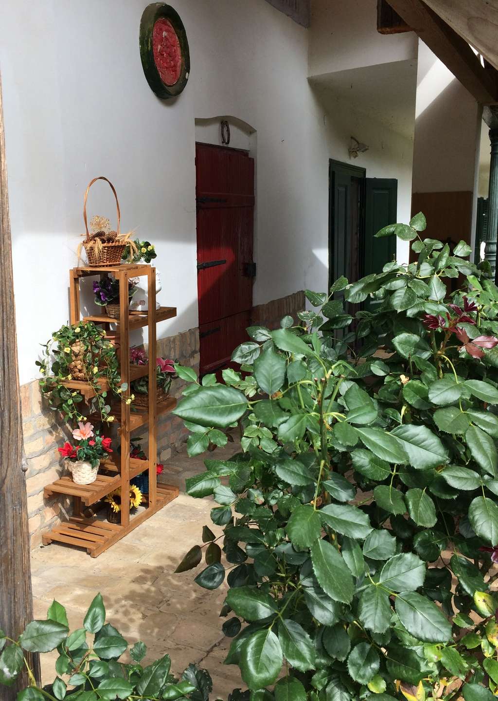 [object Object] - image