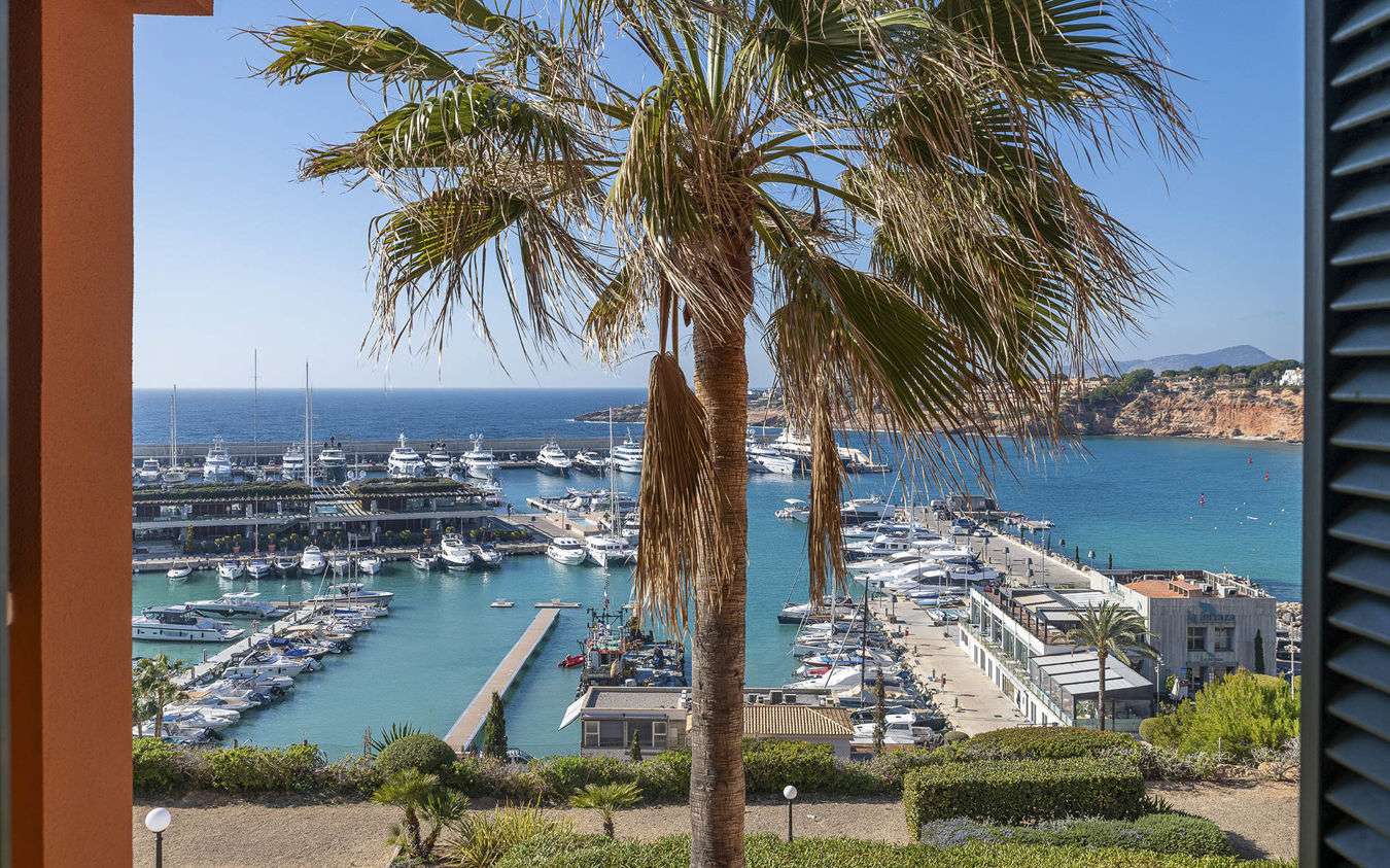 [object Object] - image