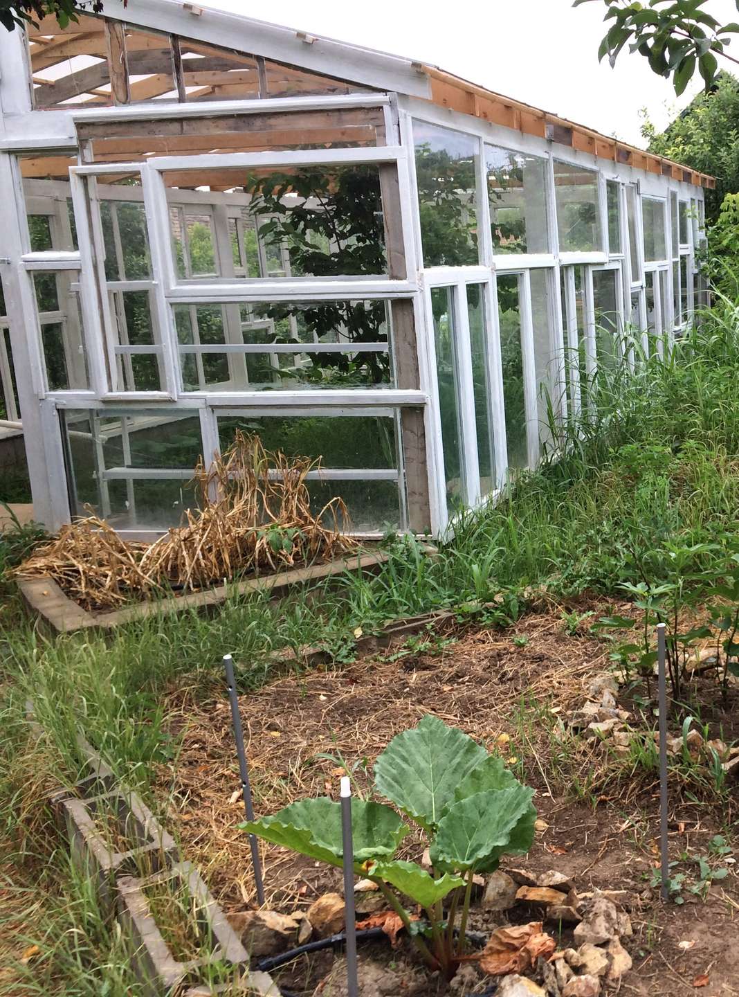 [object Object] - image