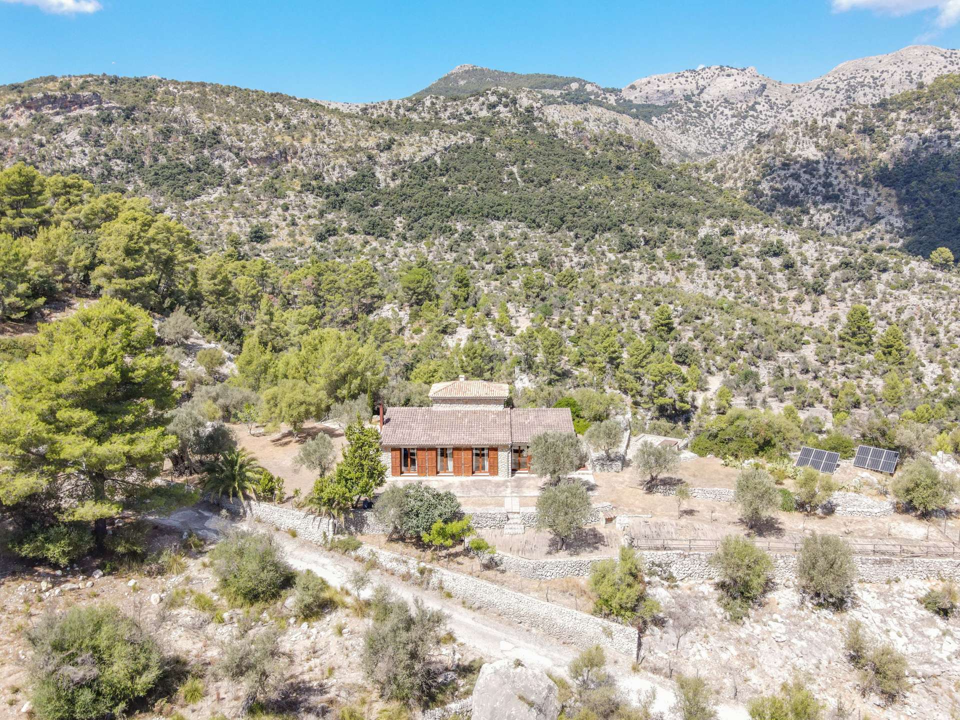 [object Object] - image