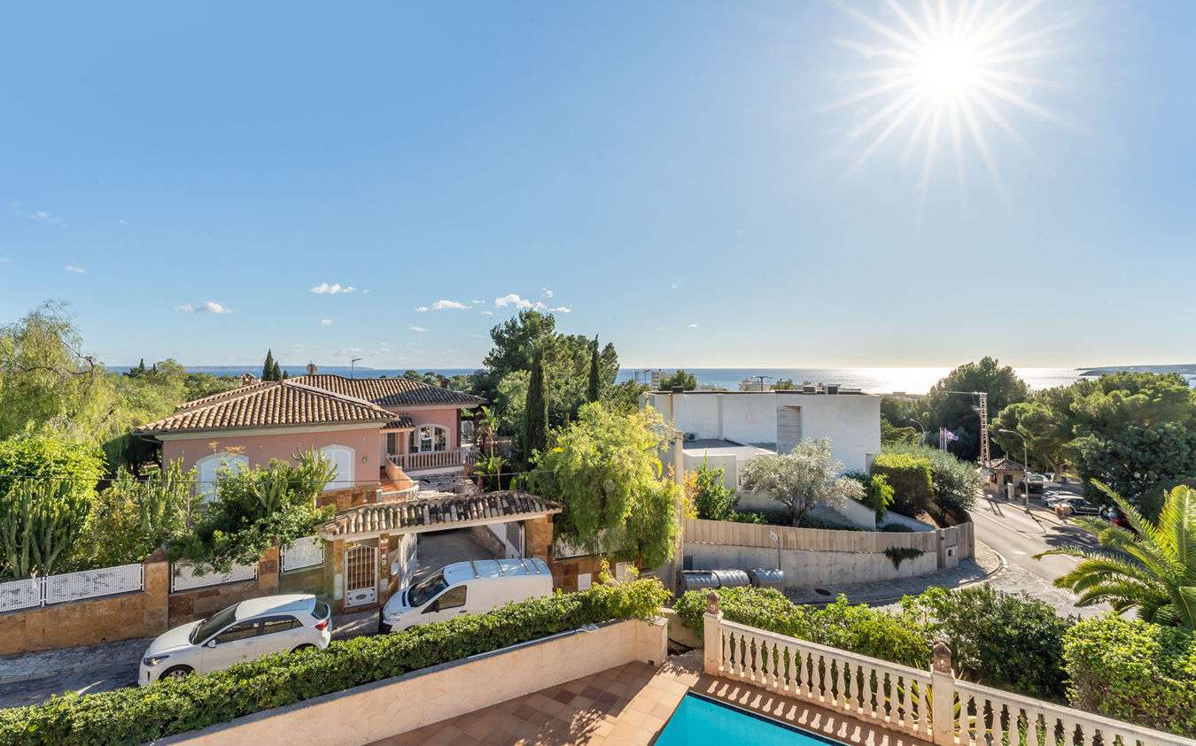 [object Object] - image