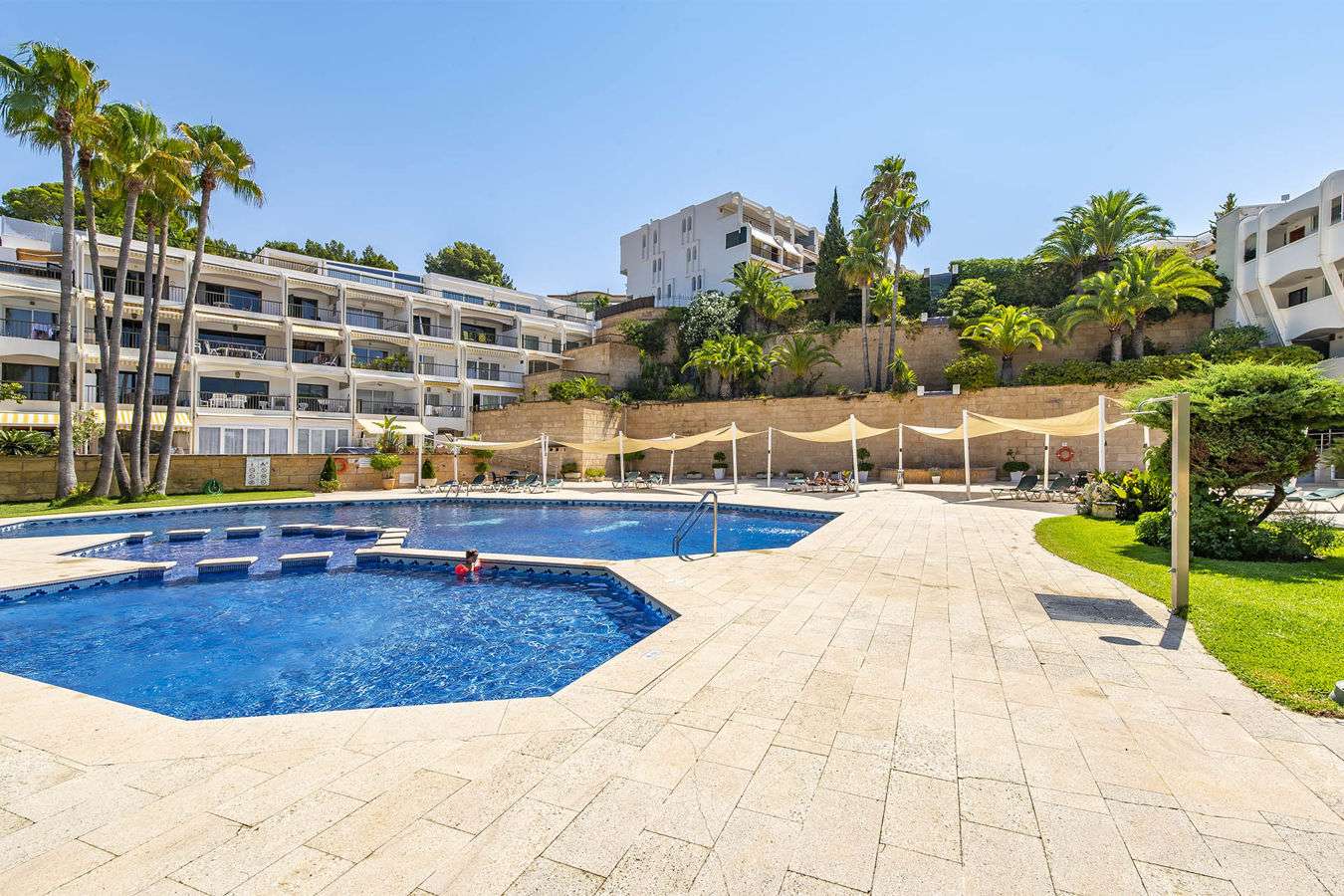 [object Object] - image