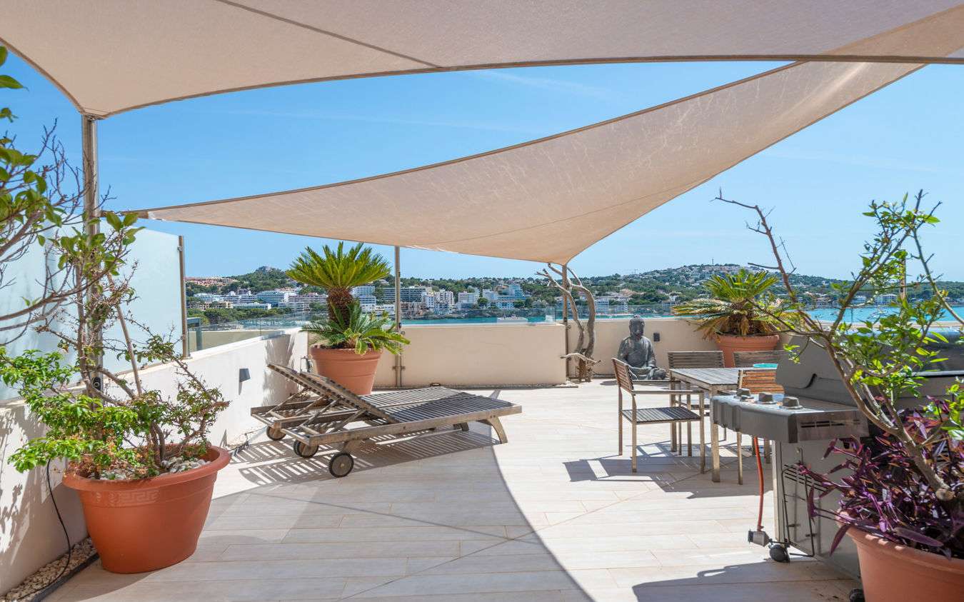 [object Object] - image