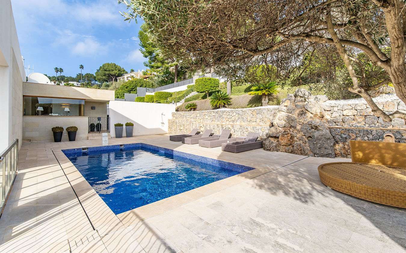 [object Object] - image