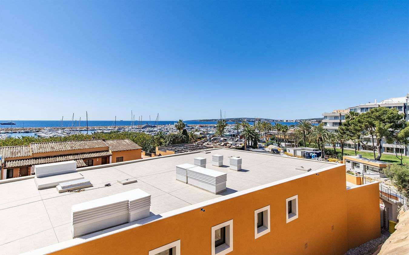 [object Object] - image